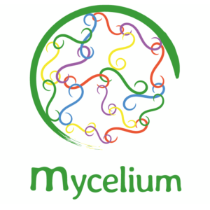 Co-création de l&rsquo;association Mycélium