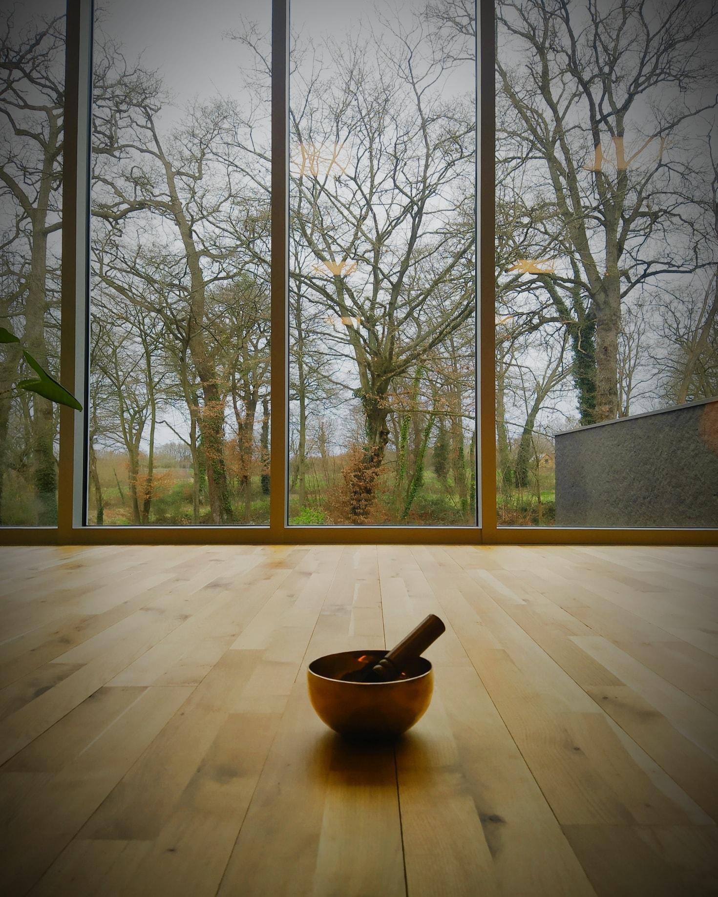 Méditation de pleine conscience avec des adultes